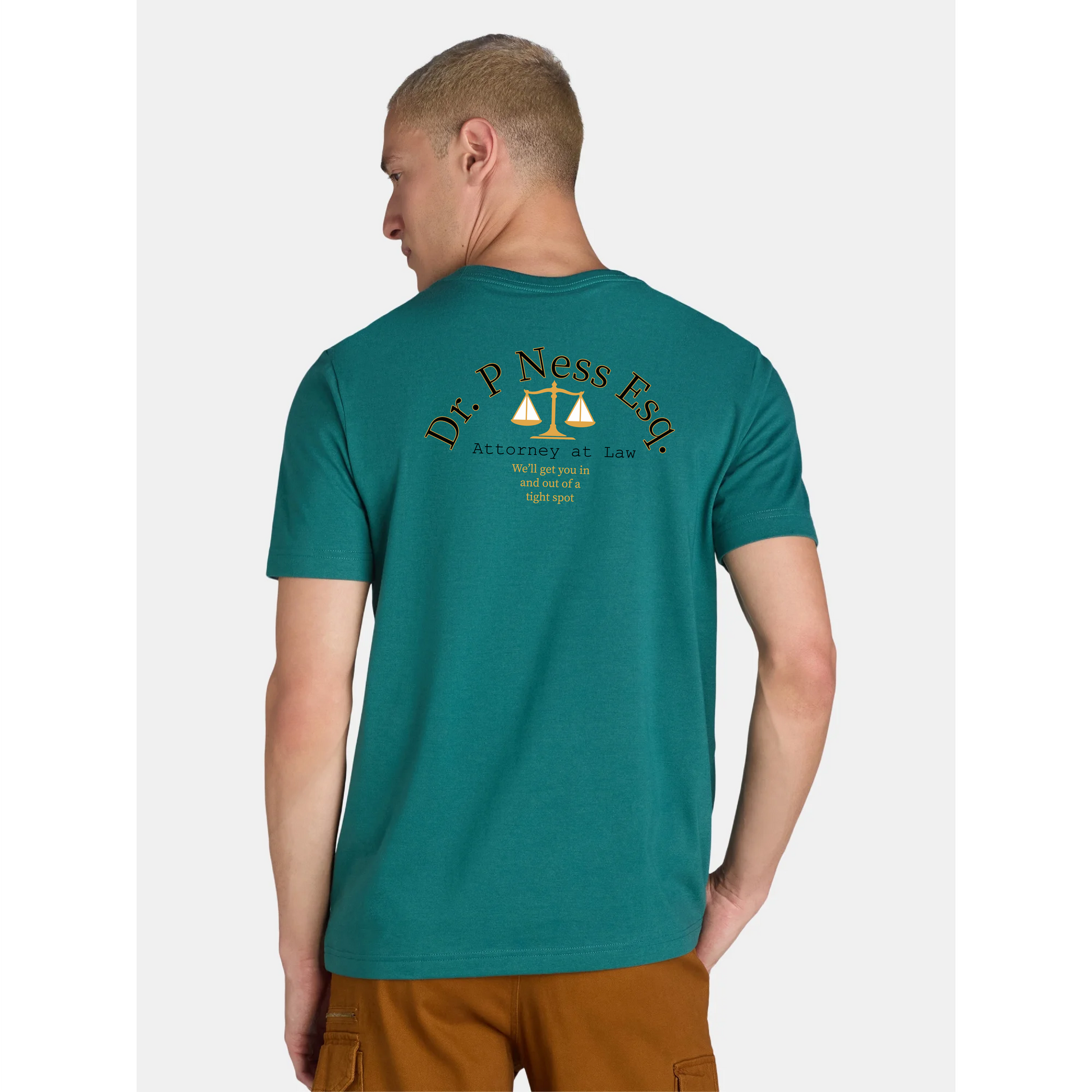 Dr. P Ness Law image 2